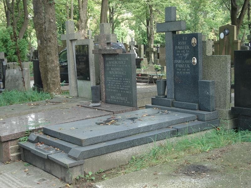 Zdjęcie grobu Józef Pawluk (1)