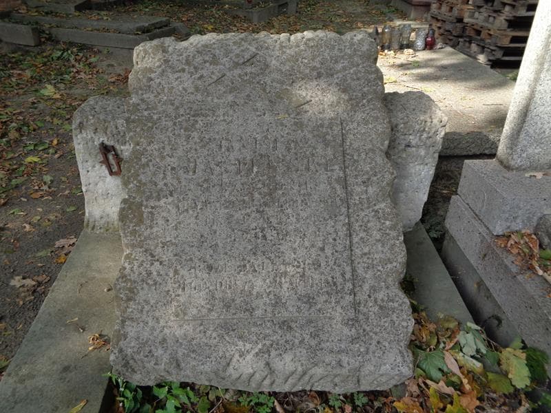 Zdjęcie grobu Stanisław Jasieński (2)