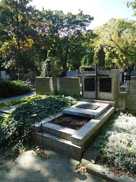 Zdjęcie grobu Aleksander Domoracki (1)