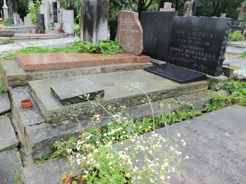 Zdjęcie grobu Anna Krzywicka (1)