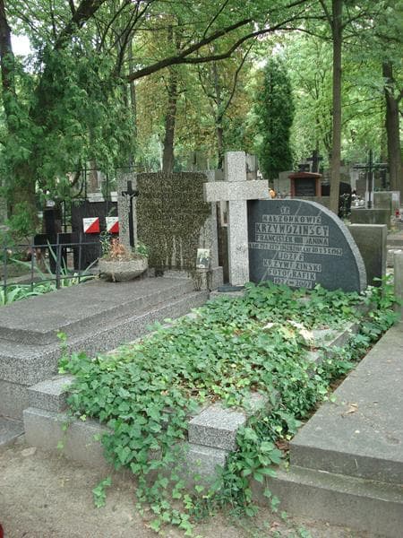 Zdjęcie grobu Józef Krzywdziński (1)