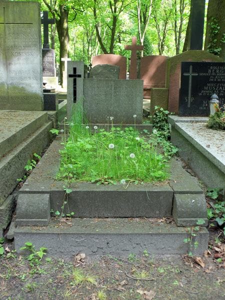 Zdjęcie grobu: Ludwik Herbert