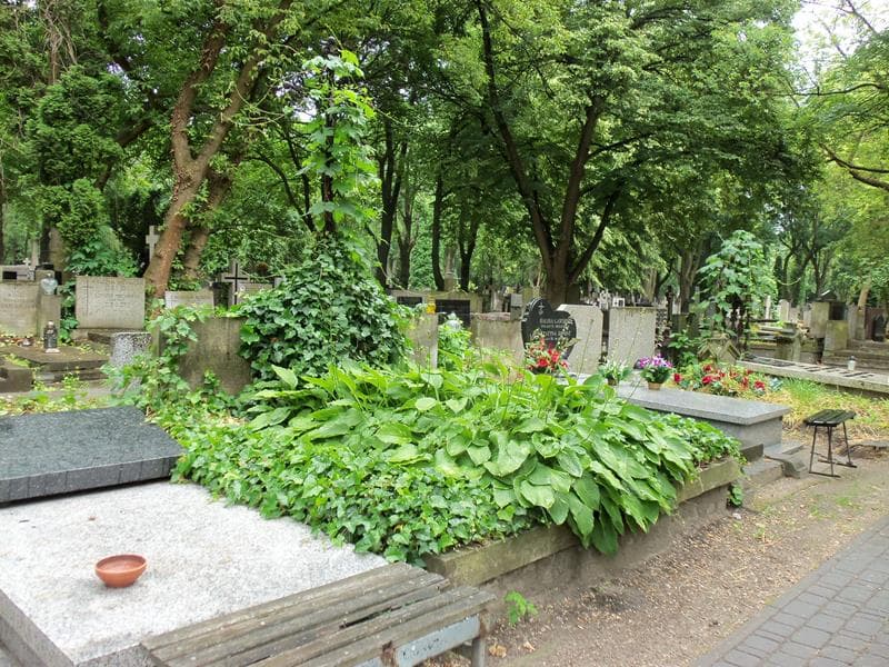 Zdjęcie grobu Apolonia Kozłowska (1)