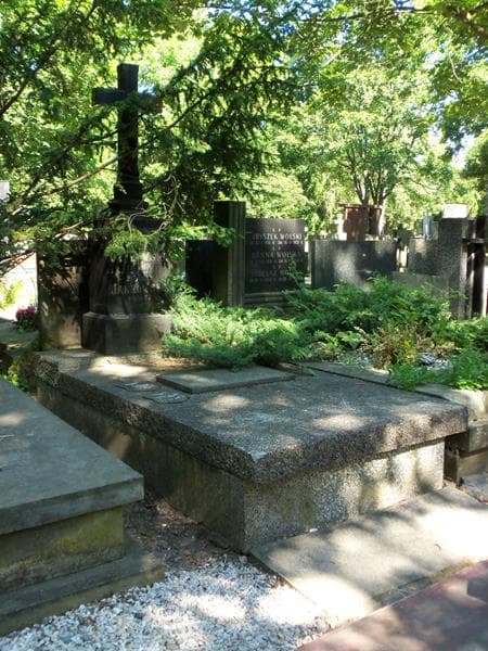 Zdjęcie grobu Mieczysław Jastrzębiec-Jankowski (1)