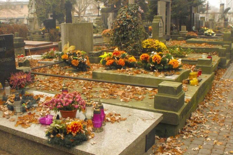 Zdjęcie grobu Antonina Czerepak (2)