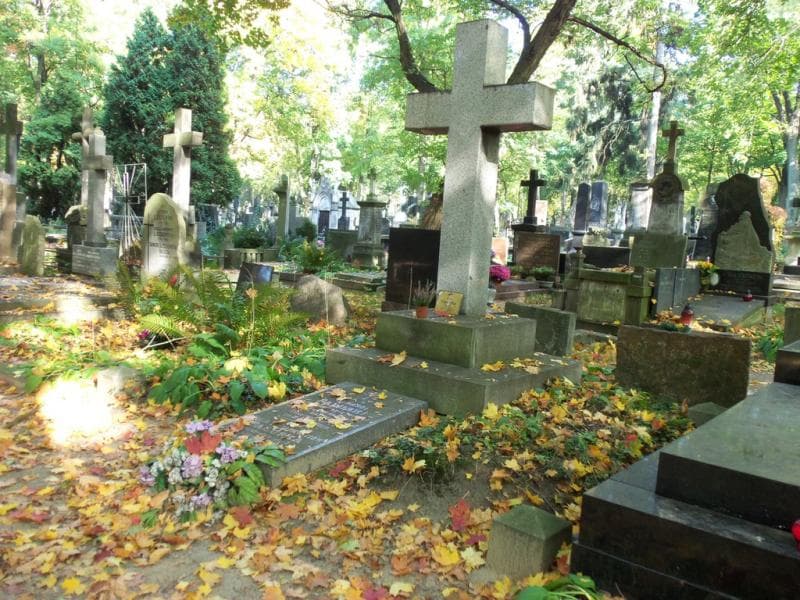 Zdjęcie grobu Edward Pałuski (1)