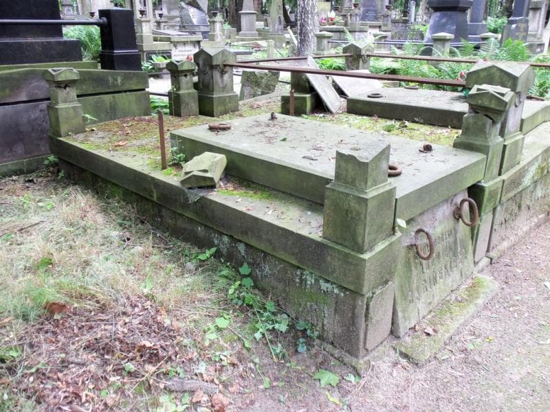 Zdjęcie grobu Ludwik Bagiński (1)