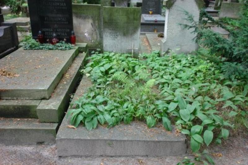 Zdjęcie grobu: Stanisław Czaplicki