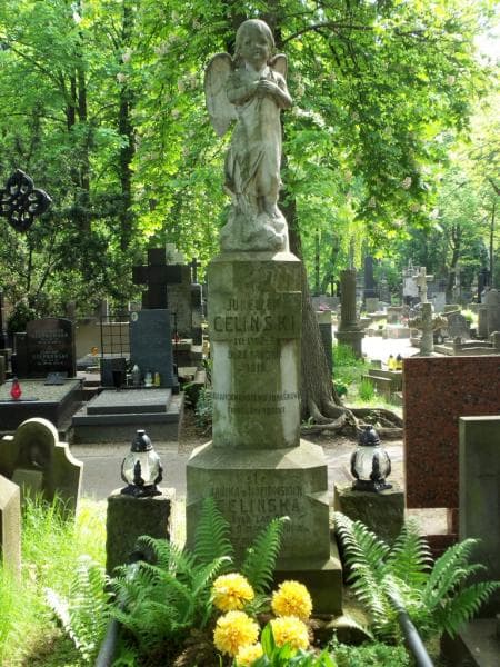 Zdjęcie grobu: Jureczek Celiński