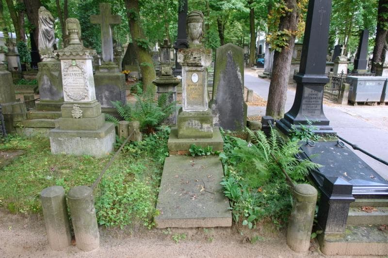 Zdjęcie grobu Florentyna Braun (1)