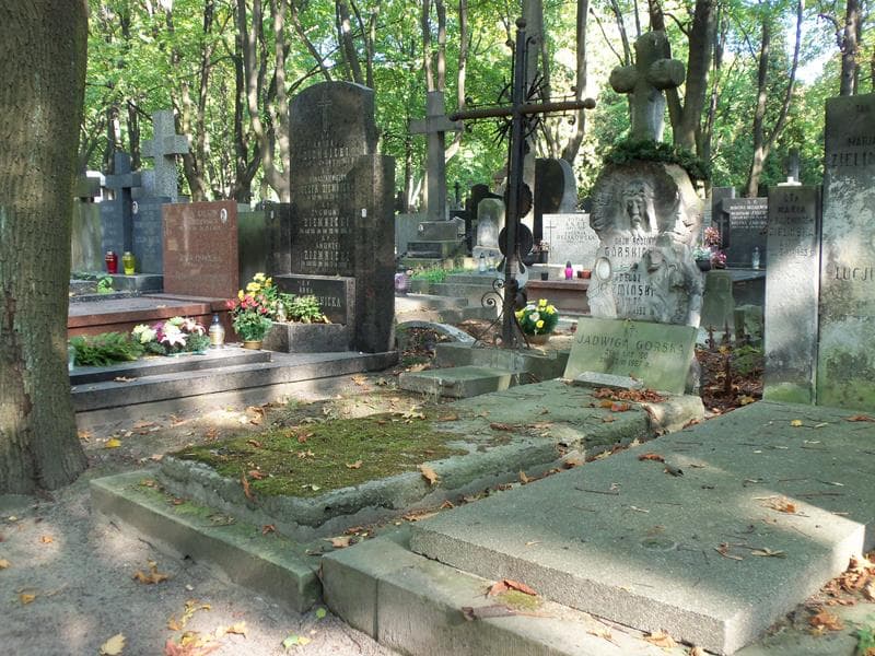 Zdjęcie grobu Zbycho Górski (1)