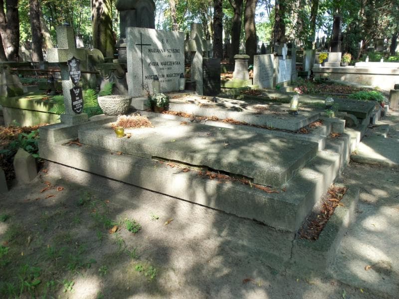 Zdjęcie grobu Irena Borlicka (1)