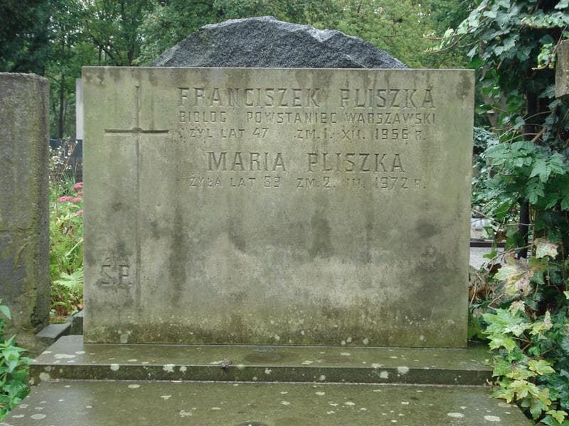 Zdjęcie grobu Maria Pliszka (2)