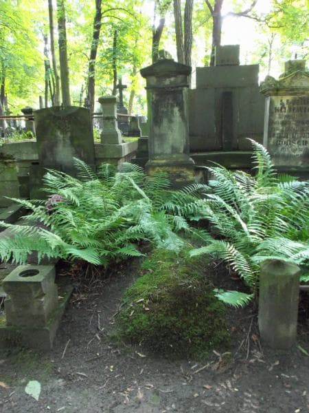 Zdjęcie grobu: Władysław Barcewicz