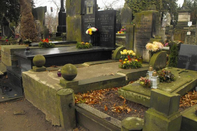 Zdjęcie grobu Henryk Józef Cedzyński (1)