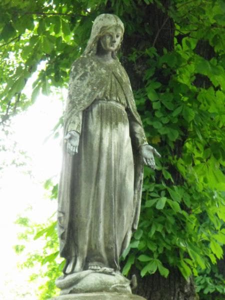 Zdjęcie grobu Zofia Bartenbach (1)