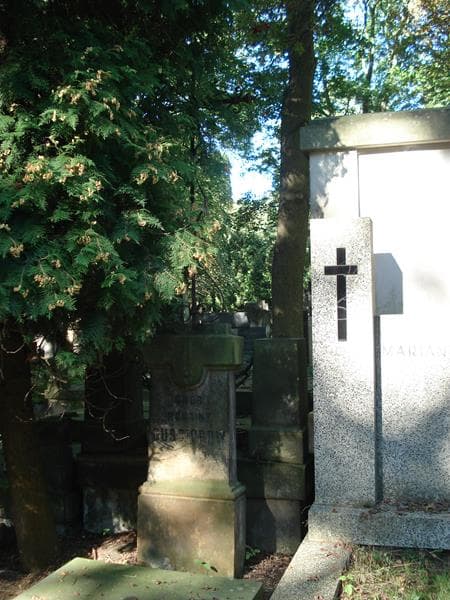 Zdjęcie grobu Elżbieta Kubacka (2)