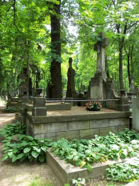 Zdjęcie grobu Anna Daszkiewicz-Bortnowska (1)