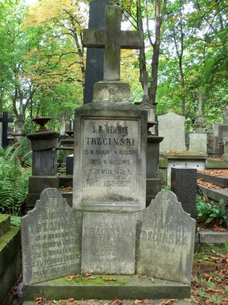 Zdjęcie grobu Henryk Trzciński (2)