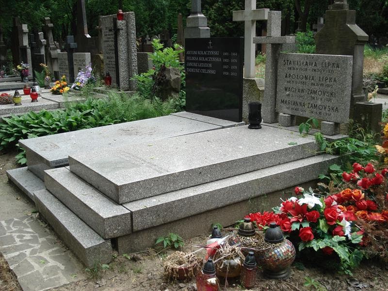 Zdjęcie grobu Stanisława Lipka (1)