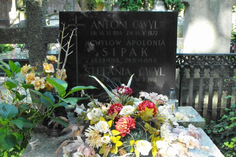 Zdjęcie grobu Stefania Cwyl (2)