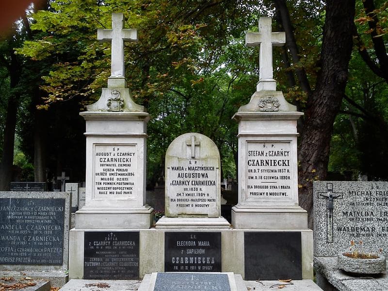 Zdjęcie grobu Piotr Czarniecki (2)