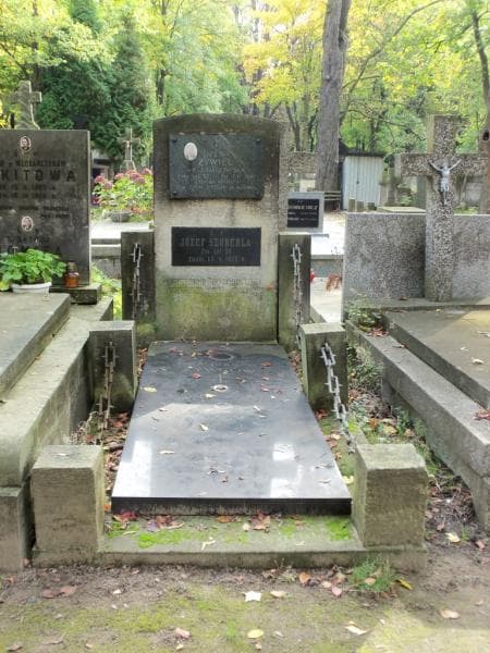 Zdjęcie grobu: Józef Żywiec
