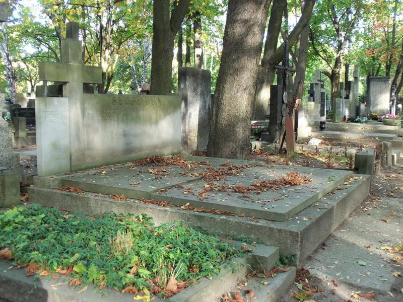 Zdjęcie grobu Tadeusz Kazimierz Sługocki (1)