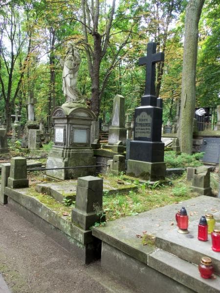 Zdjęcie grobu Henryk Stypułkowski (1)