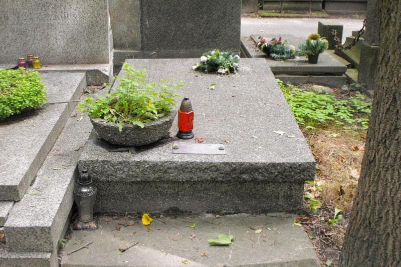 Zdjęcie grobu Wiktor Biegański (1)