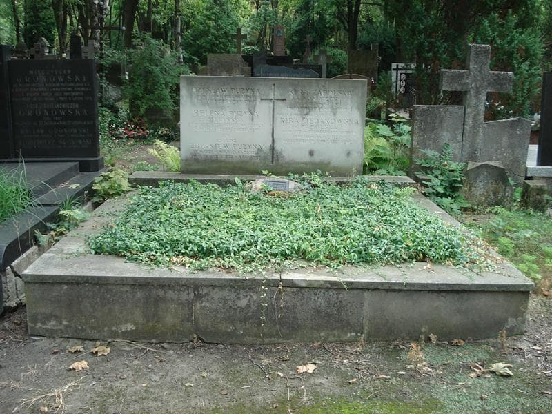 Zdjęcie grobu: Czesław Puzyna