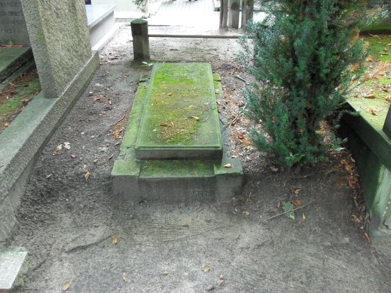 Zdjęcie grobu: Zygmunt Stokowski