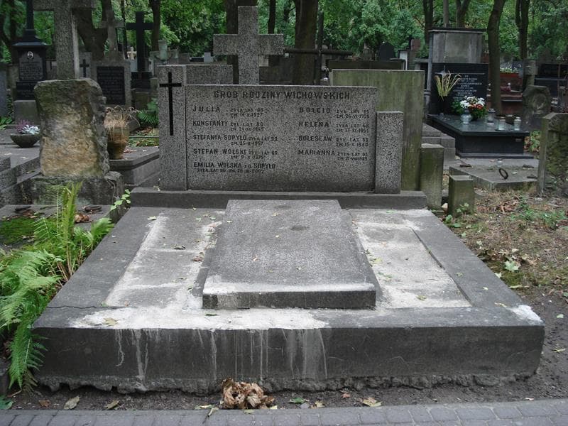 Zdjęcie grobu Emilia Wolska (1)
