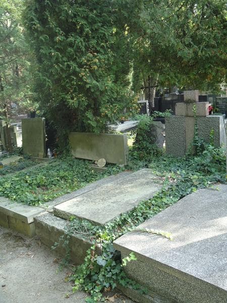 Zdjęcie grobu Henryk Stryjewski (1)
