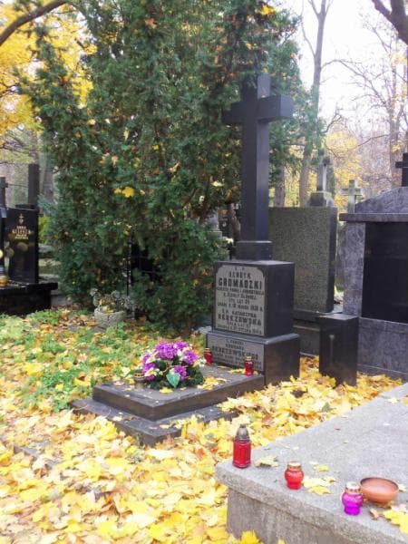 Zdjęcie grobu Konrad Berezowski (1)