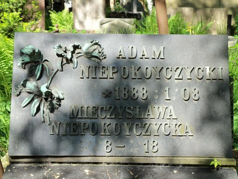 Zdjęcie grobu Jerzy Grabowski (2)