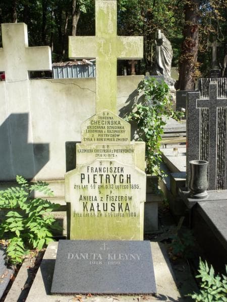 Zdjęcie grobu Danuta Kleyny (1)