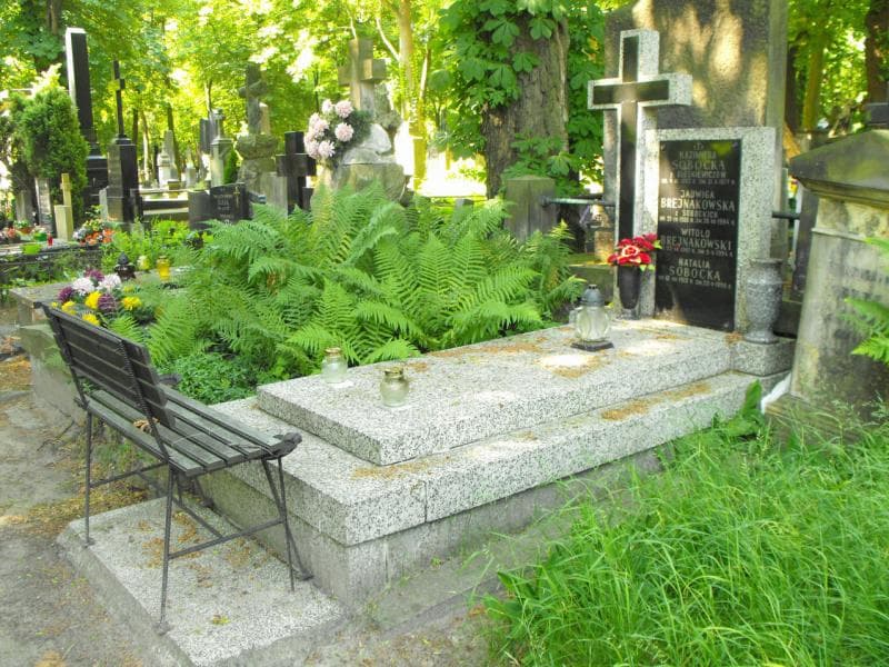 Zdjęcie grobu Jadwiga Brejnakowska (1)