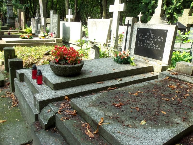 Zdjęcie grobu Feliks Pawiński (2)