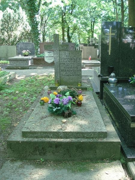 Zdjęcie grobu: Aleksander Dobrowolski