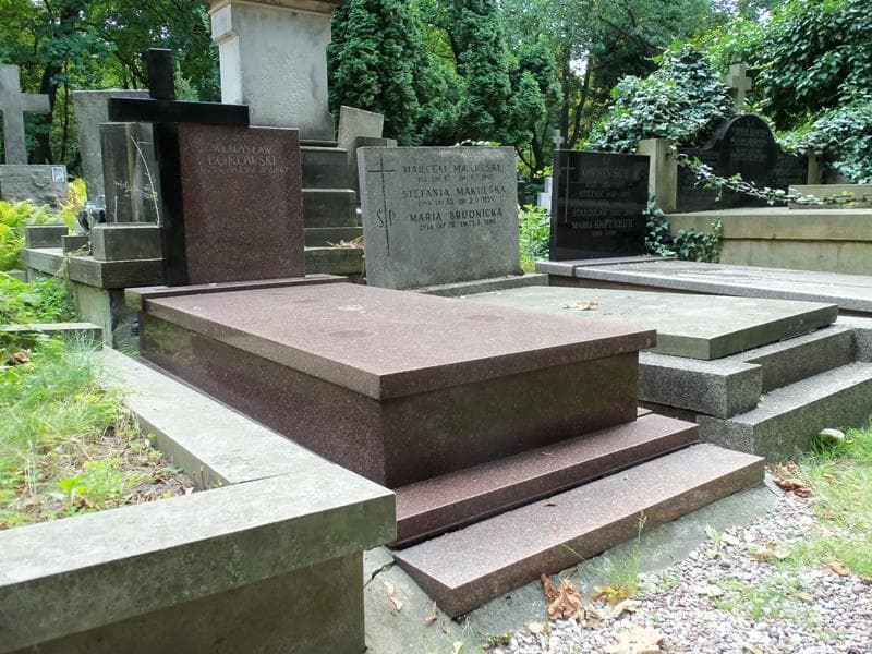 Zdjęcie grobu Władysław Borowski (1)