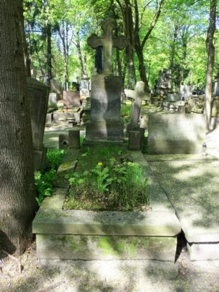 Zdjęcie grobu: Leon Iwanowski