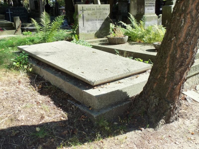 Zdjęcie grobu Franciszek Żółtowski (1)