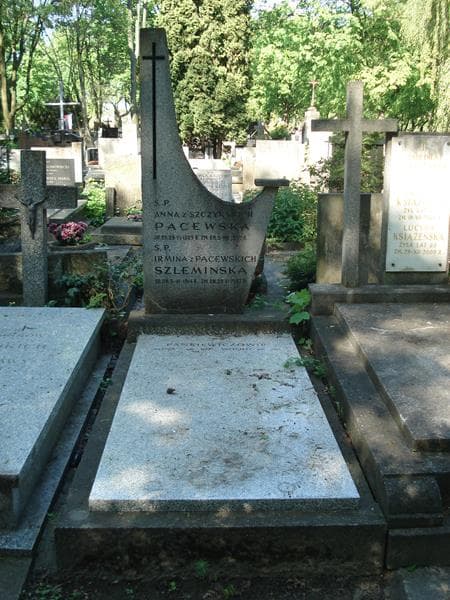 Zdjęcie grobu Irmina Szlemińska (1)