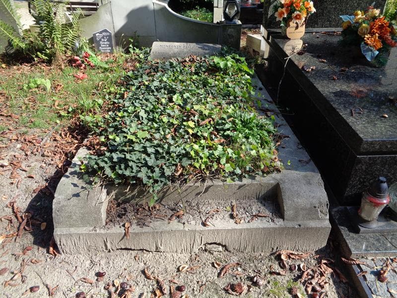 Zdjęcie grobu Stanisława Dzierzgowska (1)