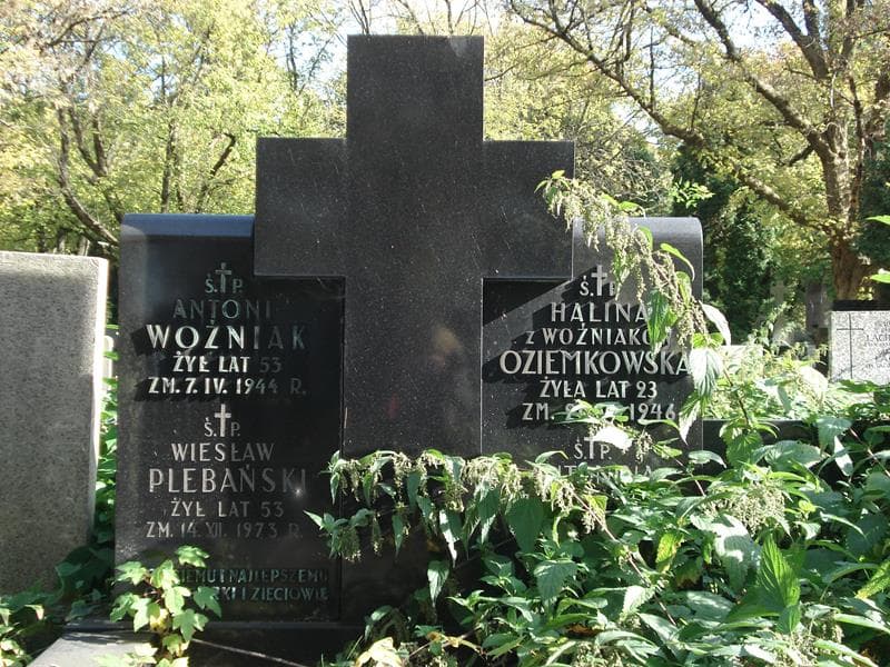 Zdjęcie grobu Wiesław Plebański (2)
