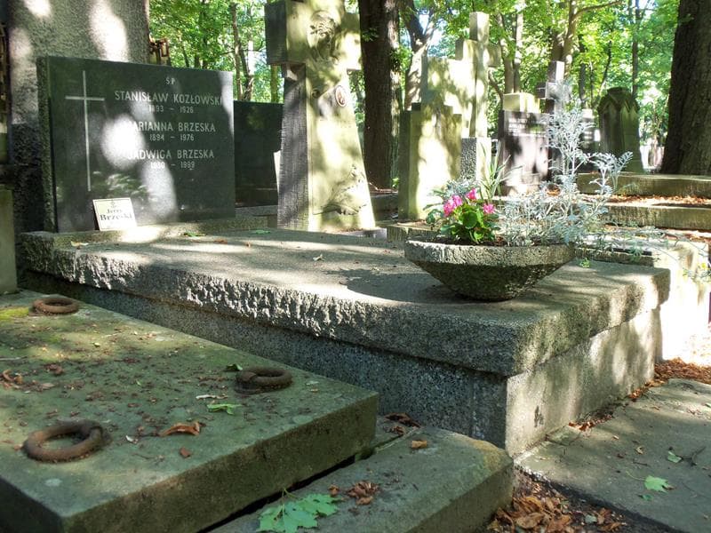 Zdjęcie grobu Jerzy Brzeski (1)