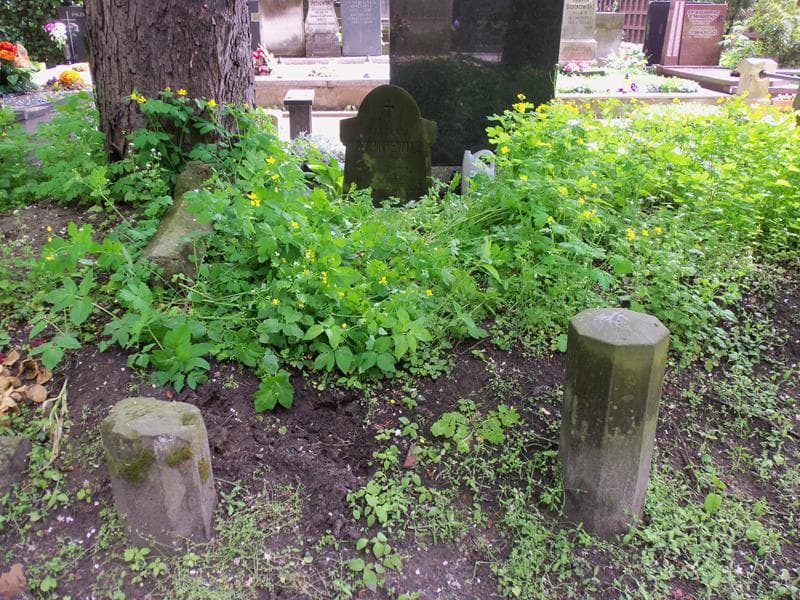 Zdjęcie grobu: Wacław Rymkiewicz