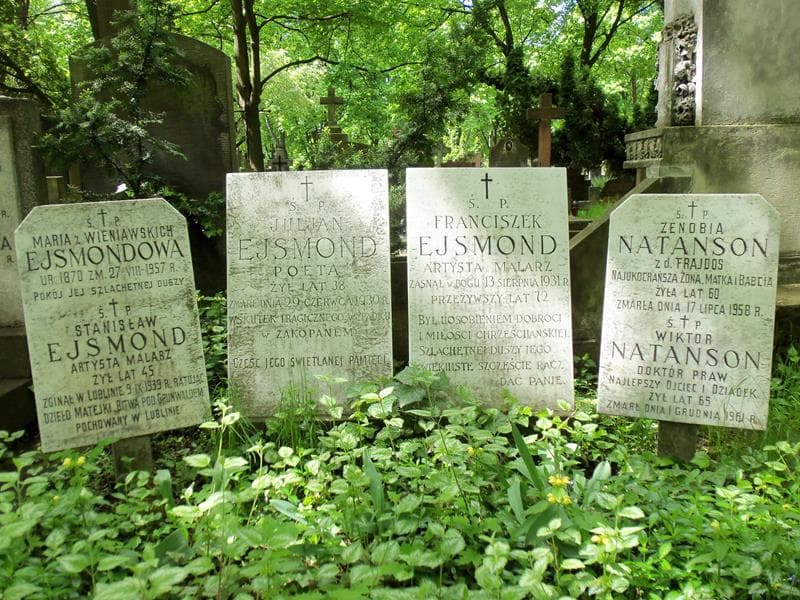 Zdjęcie grobu Wiktor Natanson (2)