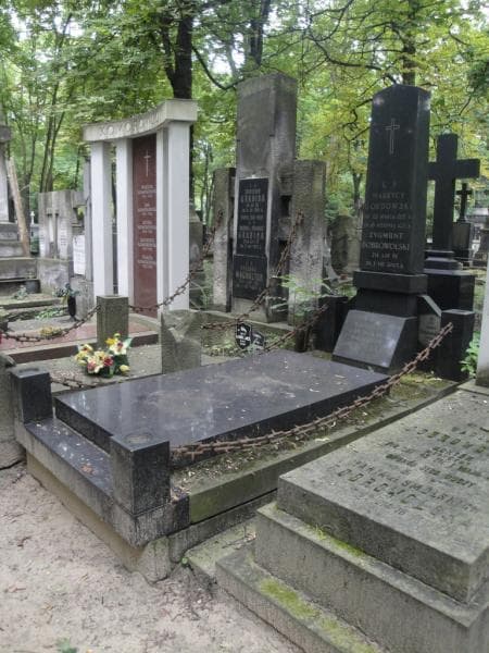 Zdjęcie grobu Zygmunt Dobrowolski (1)
